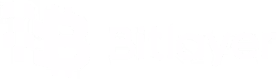 Bitlayer